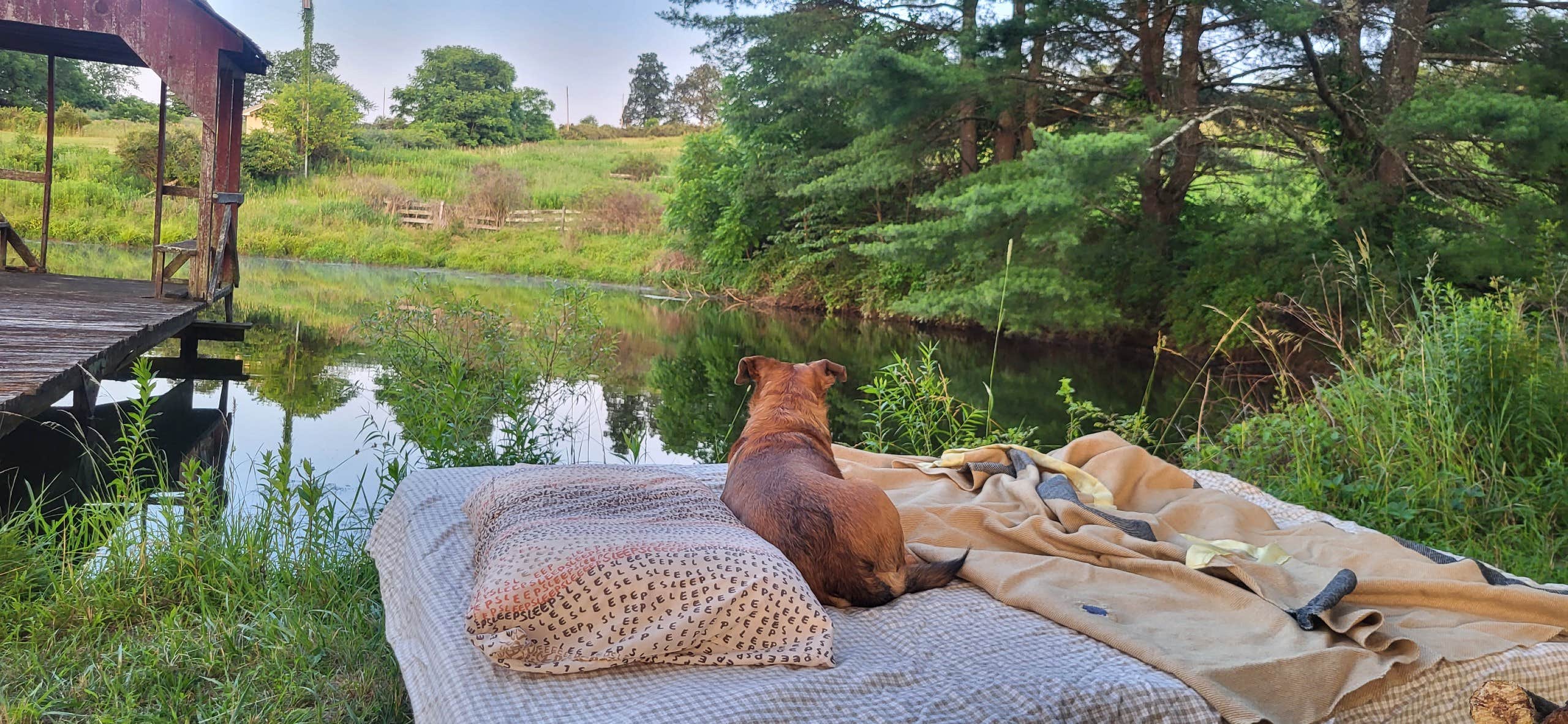Camping near Fire Pit Campground LLC: Dancing Hen Farm, Cambra, Pennsylvania