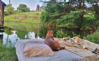 Kathleen K.'s photo of camping with pets at Dancing Hen Farm near Sweet Valley, PA