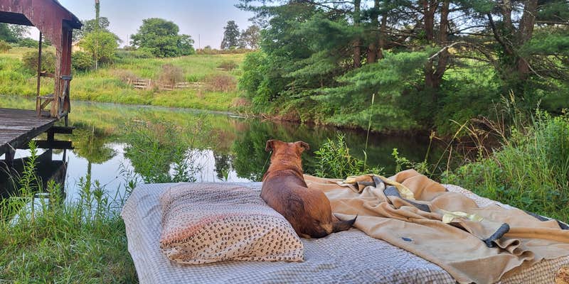 Camper submitted image from Dancing Hen Farm
