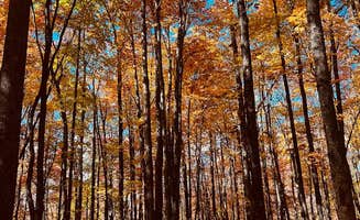 The Dyrt's photo at Indian Creek Rentals near Rosman, NC