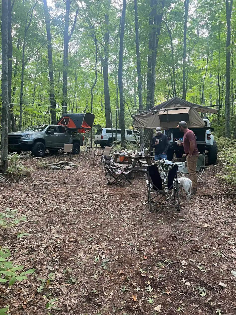 The Dyrt's photo at Indian Creek Rentals near Glenville, NC