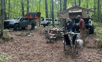 The Dyrt's photo at Indian Creek Rentals near Rosman, NC