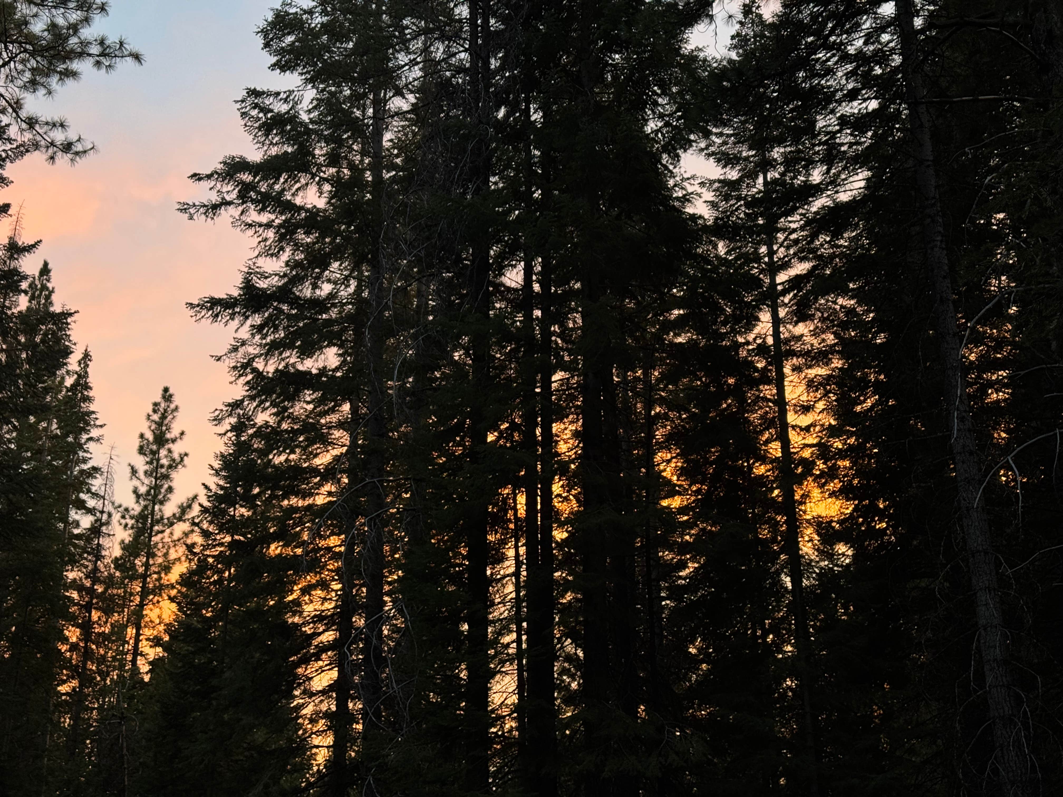 Alexander Mark C.'s photo of a dispersed camping area at Jackson F. Kimball State Recreation Site near Fort Klamath, OR