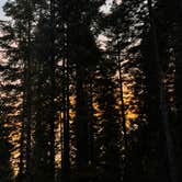 Review photo of Jackson F. Kimball State Recreation Site by Alexander Mark C., February 19, 2026