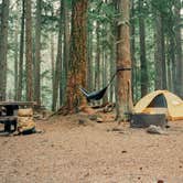 Review photo of Silver Springs Campground by Alexander Mark C., February 19, 2026