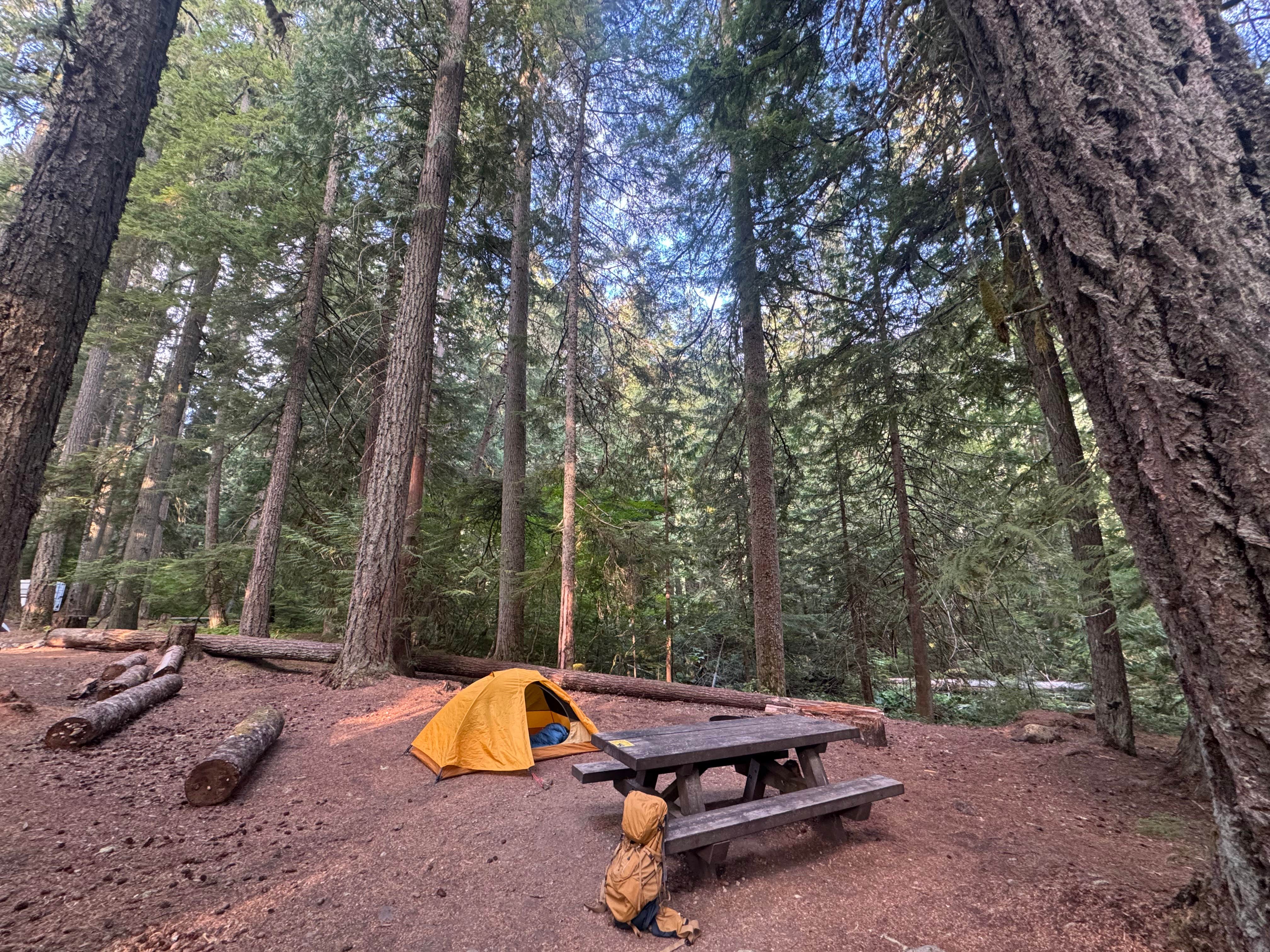 Alexander Mark C.'s photo at Silver Springs Campground near Goose Prairie, WA