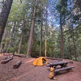Review photo of Silver Springs Campground by Alexander Mark C., February 19, 2026