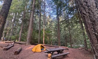 Alexander Mark C.'s photo at Silver Springs Campground near Goose Prairie, WA