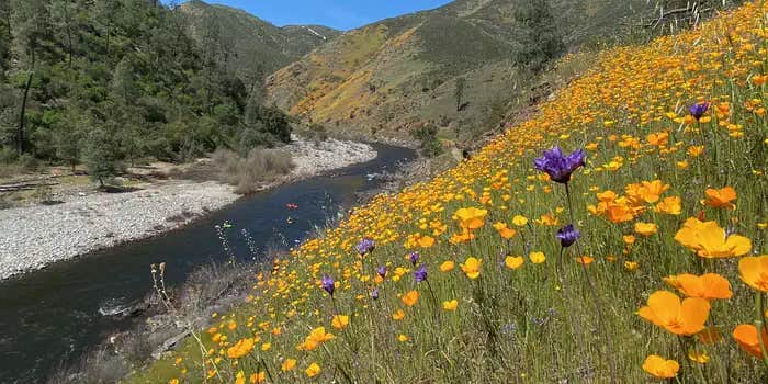 Camper submitted image from Railroad Flat Campground