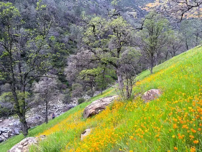 Camper-submitted photo at Railroad Flat Campground near Mariposa, CA