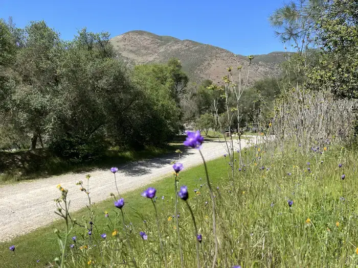 Camper-submitted photo at Railroad Flat Campground near Mariposa, CA