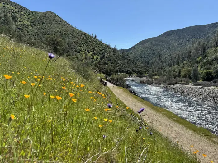 Camper-submitted photo at Railroad Flat Campground near Mariposa, CA