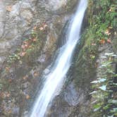 Review photo of Pfeiffer Big Sur State Park Campground by Jim G., February 20, 2026