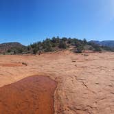 Review photo of Lost Dutchman State Park Campground by Jim G., February 20, 2026