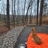 Review photo of Tims Ford State Park Main Campground — Tims Ford State Park by Jeff C., February 20, 2026