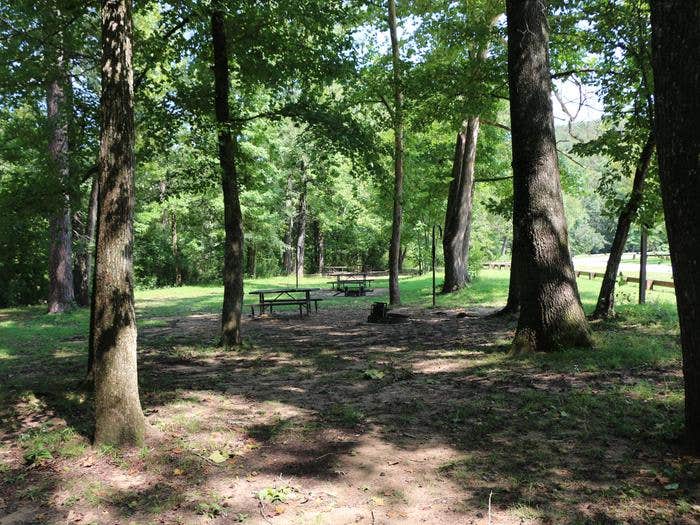 Camper-submitted photo at Ozark Campground — Buffalo National River near St. Joe, AR