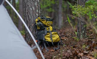 The Dyrt's photo at Hidden Shady Nook near Bruce, WI