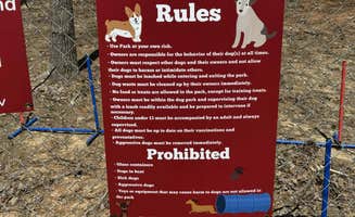 Kristi S.'s photo of camping with pets at Huck's Hideaway located in Huckleberry Hideaway Cabins and RV near Shreveport, LA