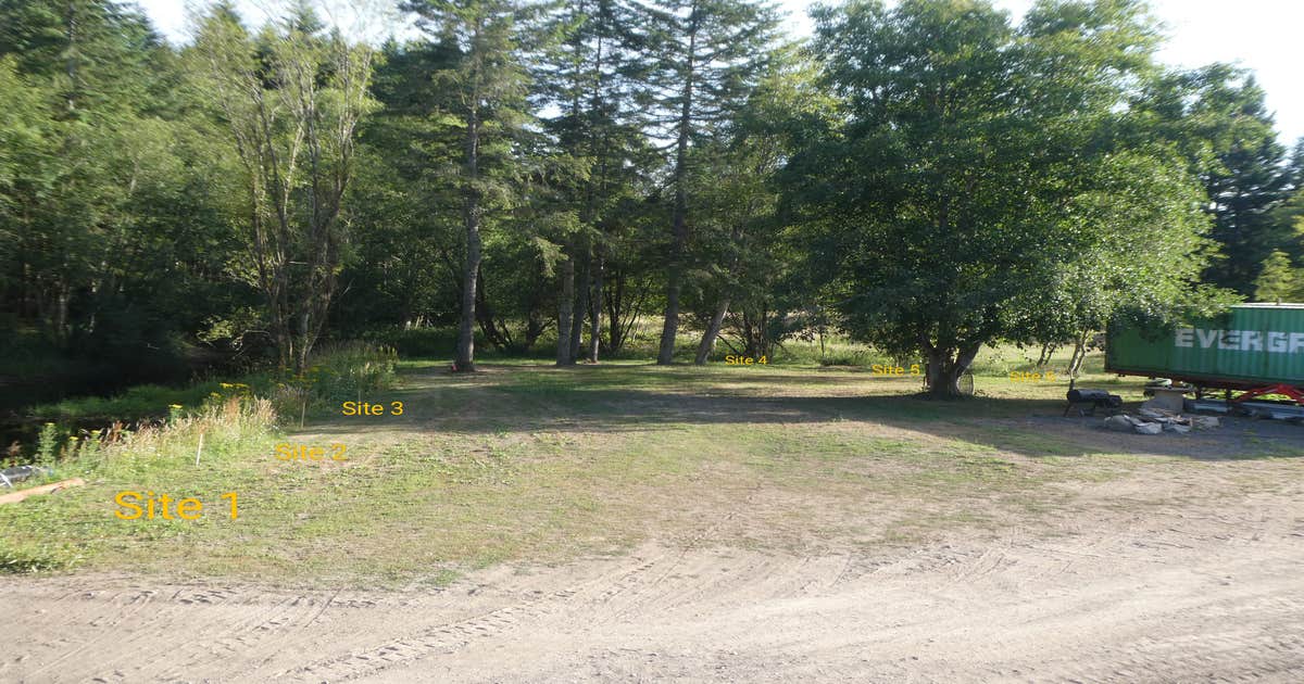 Black Swan RV & Camping | Port Ludlow, Washington