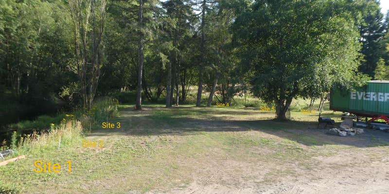 Camper submitted image from Black Swan RV & Camping