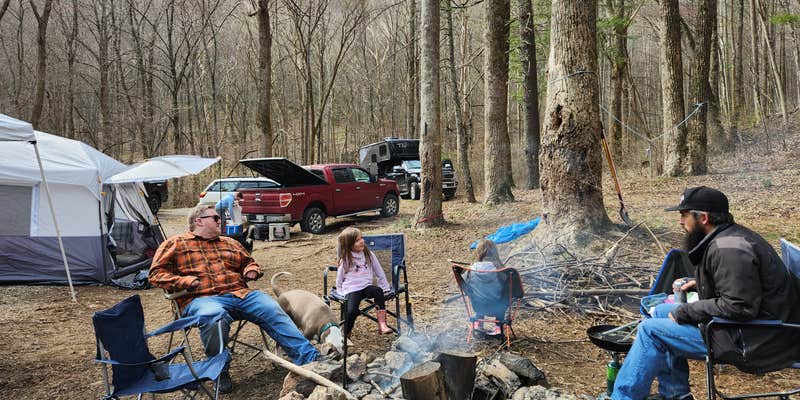 Camper submitted image from Alhambra Road Site 7