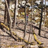 Review photo of Alhambra Road Site 7 by Camp With Me , February 23, 2026