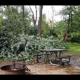 Review photo of Canoe Landing Group Campsite — James River State Park by Camp With Me , February 23, 2026