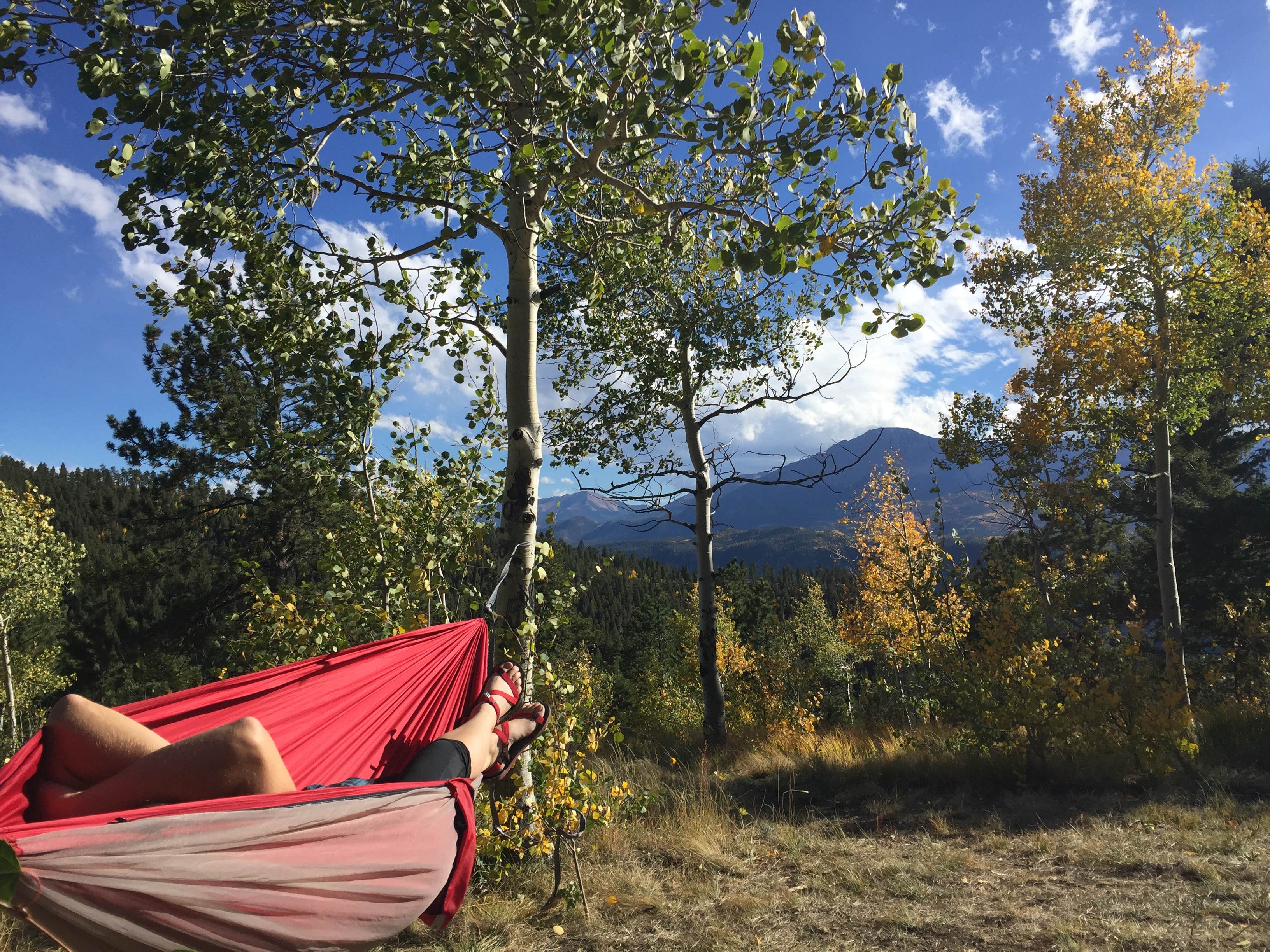 Kelly Z.'s photo of a dispersed camping area at Cascade-Chipita Park/Woodland Park near Parker, CO