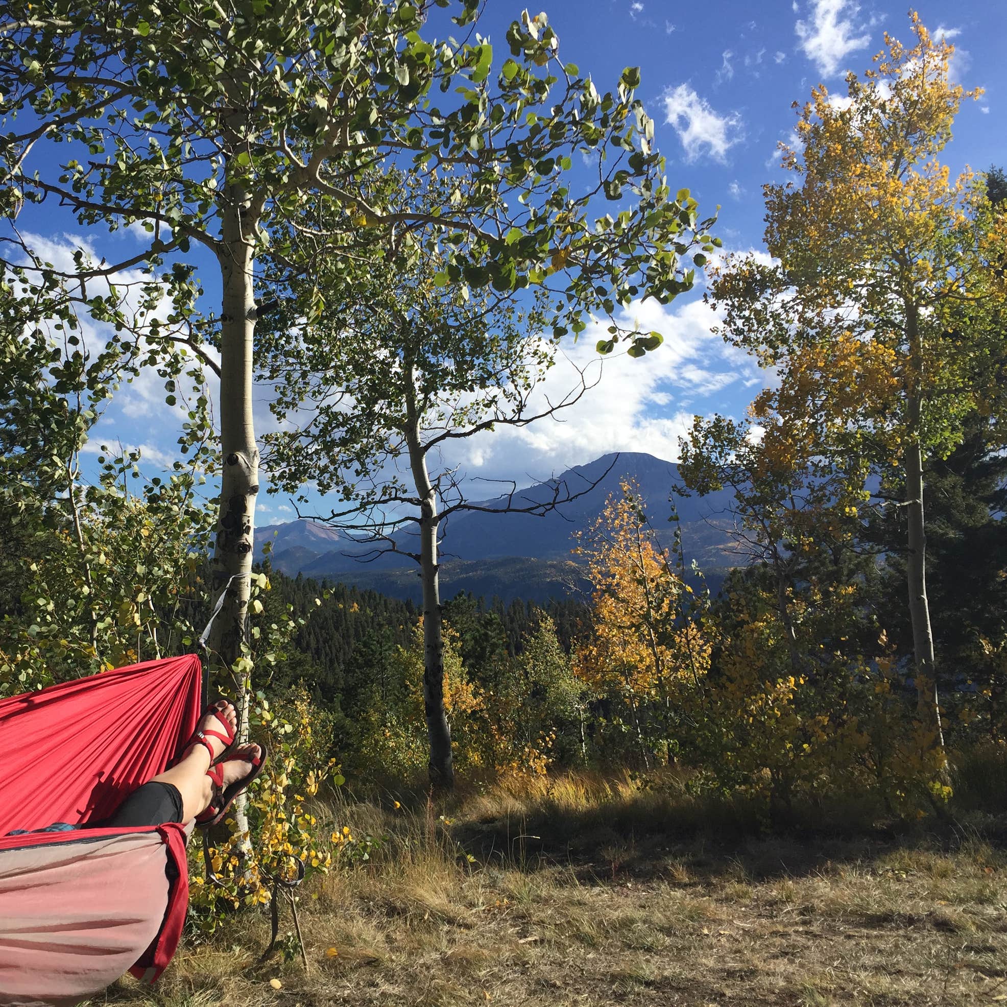 CascadeChipita Park/Woodland Park Camping The Dyrt