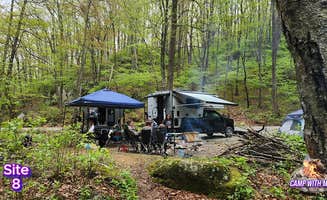 Camp With Me's photo of camping with pets at Alhambra Road Site 8 near Big Island, VA