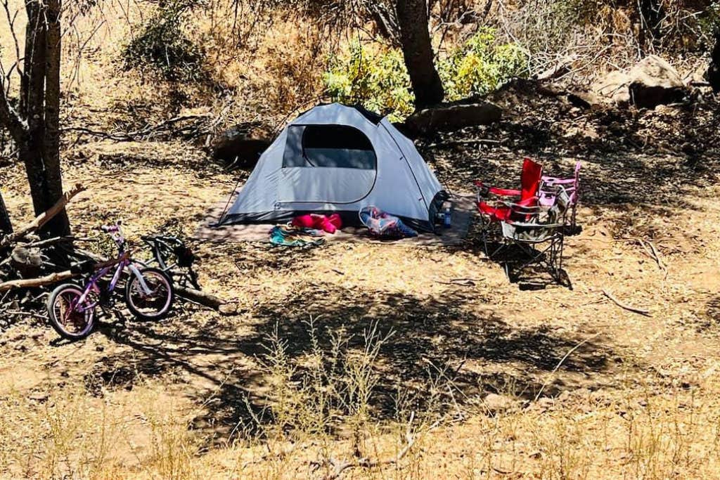 The Dyrt's photo at Camp ikigai Animal Sanctuary 501c3 near Elk, CA