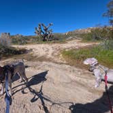 Review photo of Dove Springs OHV Area by Chris R., February 26, 2026