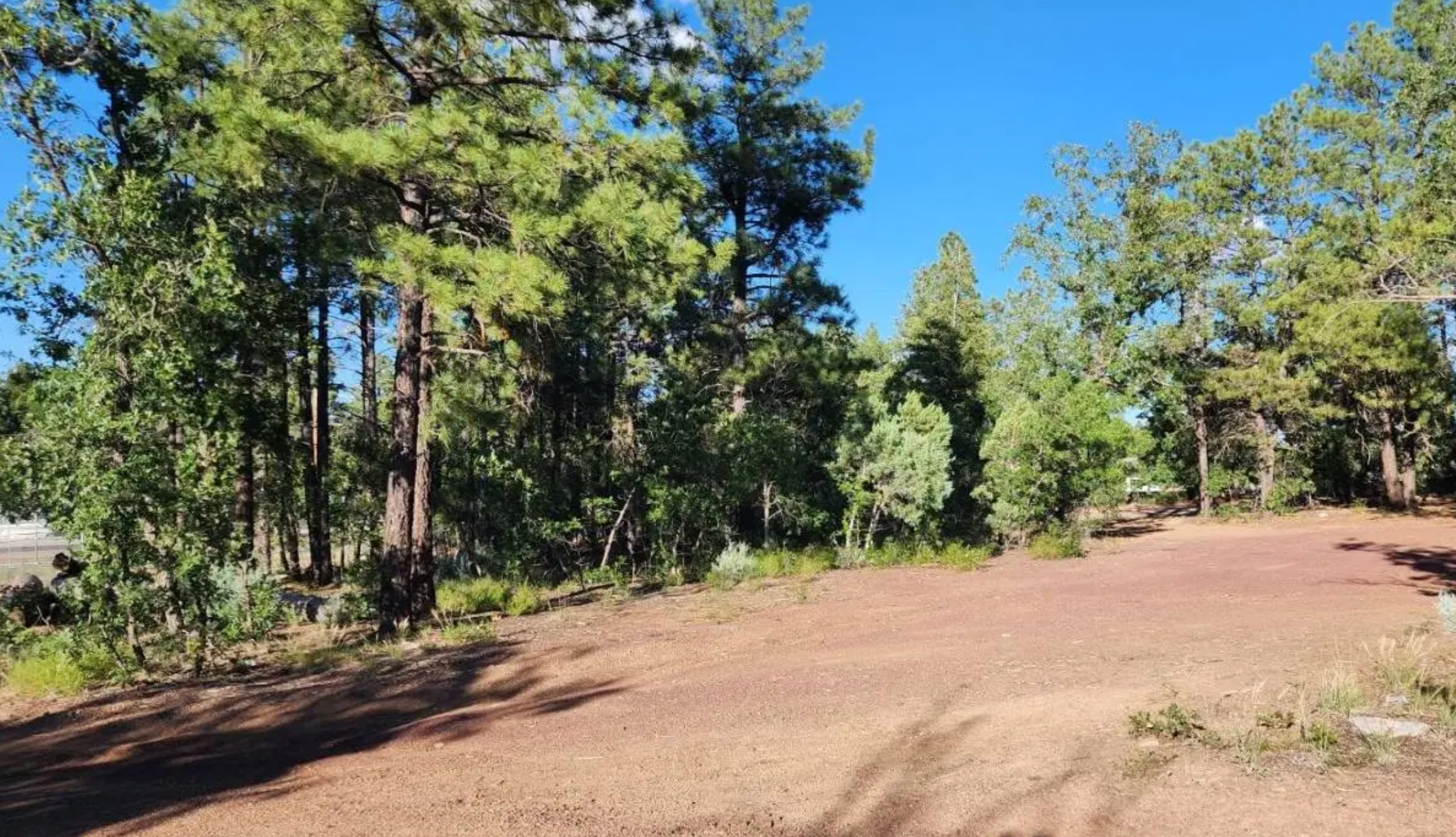 Camping near GreatSky CampRanch: Lakeside Mountain RV Park, Show Low, Arizona