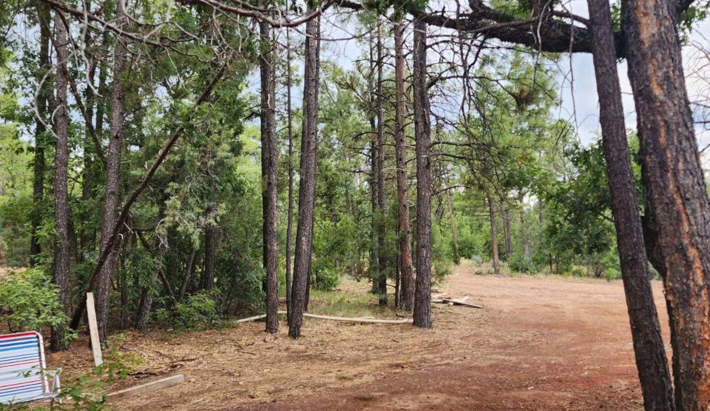 Camper-submitted photo at Lakeside Mountain RV Park near Show Low, AZ