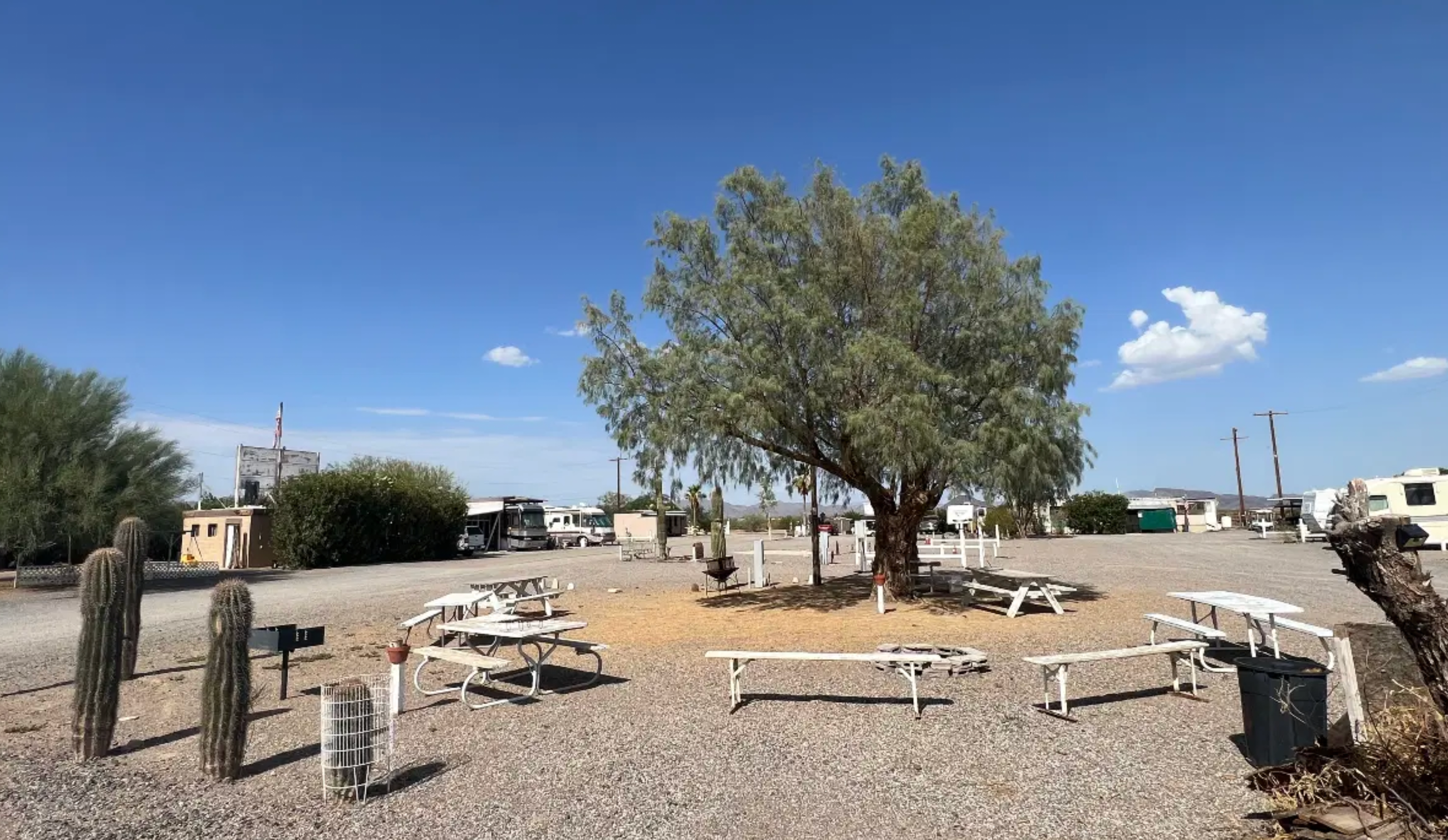 Camper-submitted photo at Dreamers RV Park near Salome, AZ