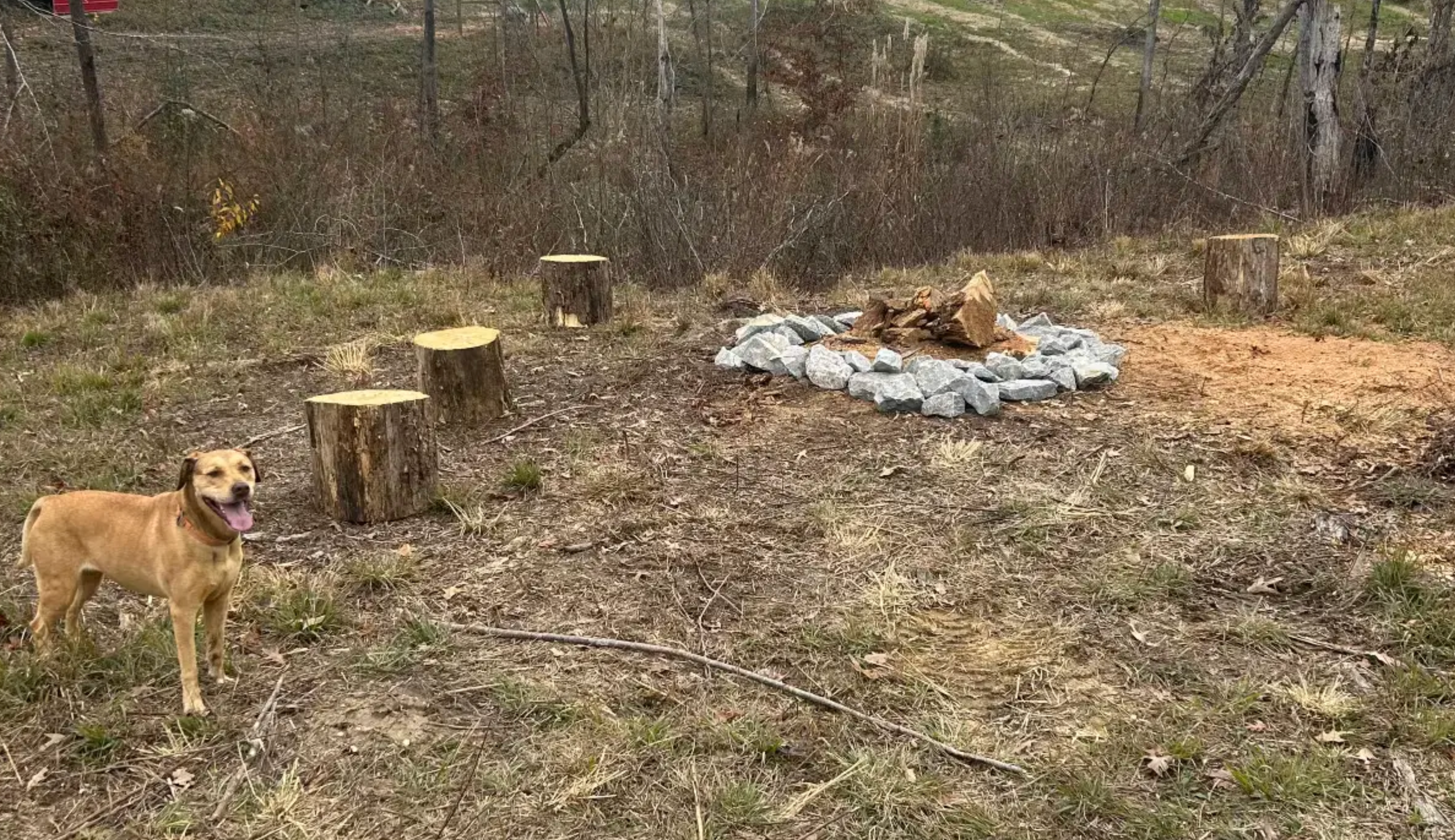 HookHub F.'s photo of camping with pets at Happy Hooves Farm - RV Parking near Peterson, AL