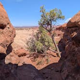 Review photo of The Needles Campground — Canyonlands National Park by April H., February 27, 2026