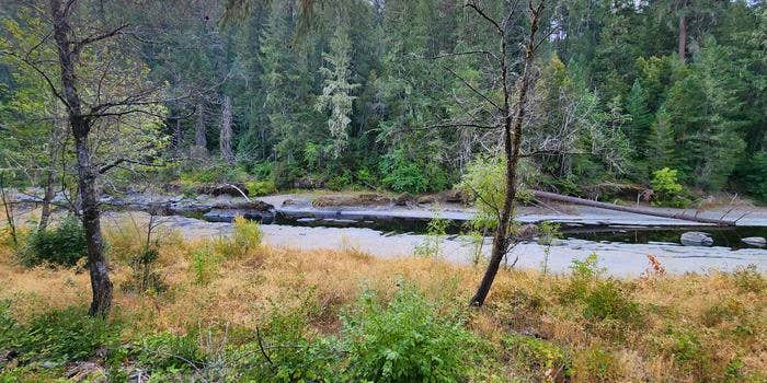 Camper submitted image from Three C Rock Campground — Umpqua National Forest