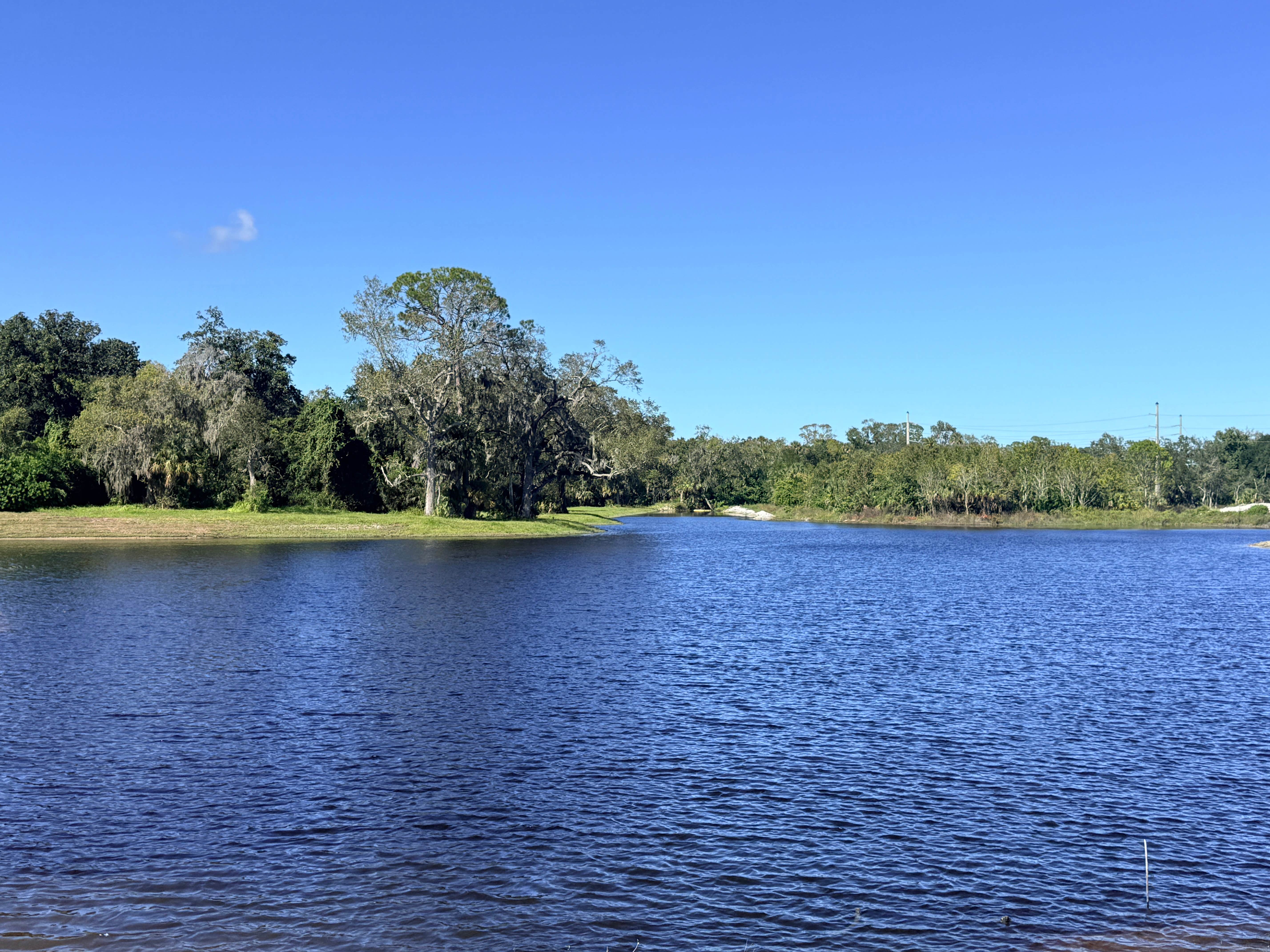 Camping near Coral Sands RV Resort: Lake Belle RV Resort, Daytona Beach, Florida