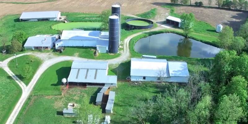 Camper submitted image from Mountain Oaks Farm