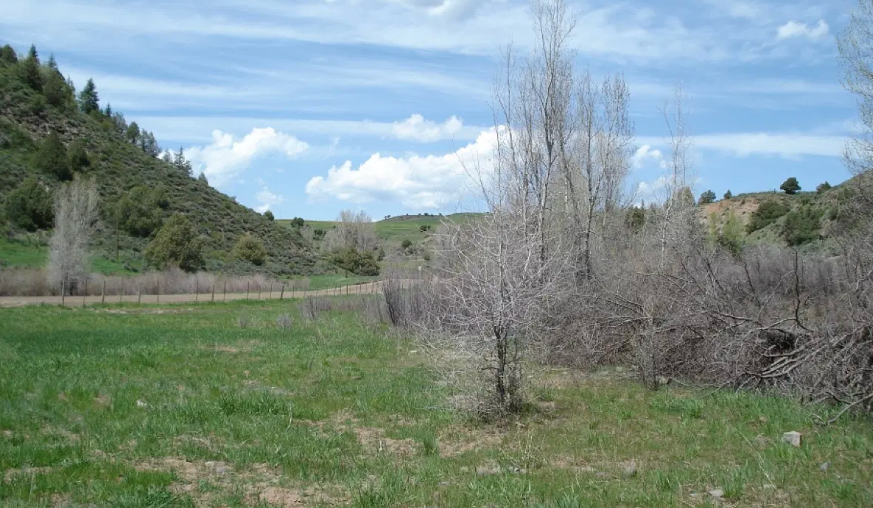 Camper-submitted photo at Somerset - RV Parking near Woody Creek, CO