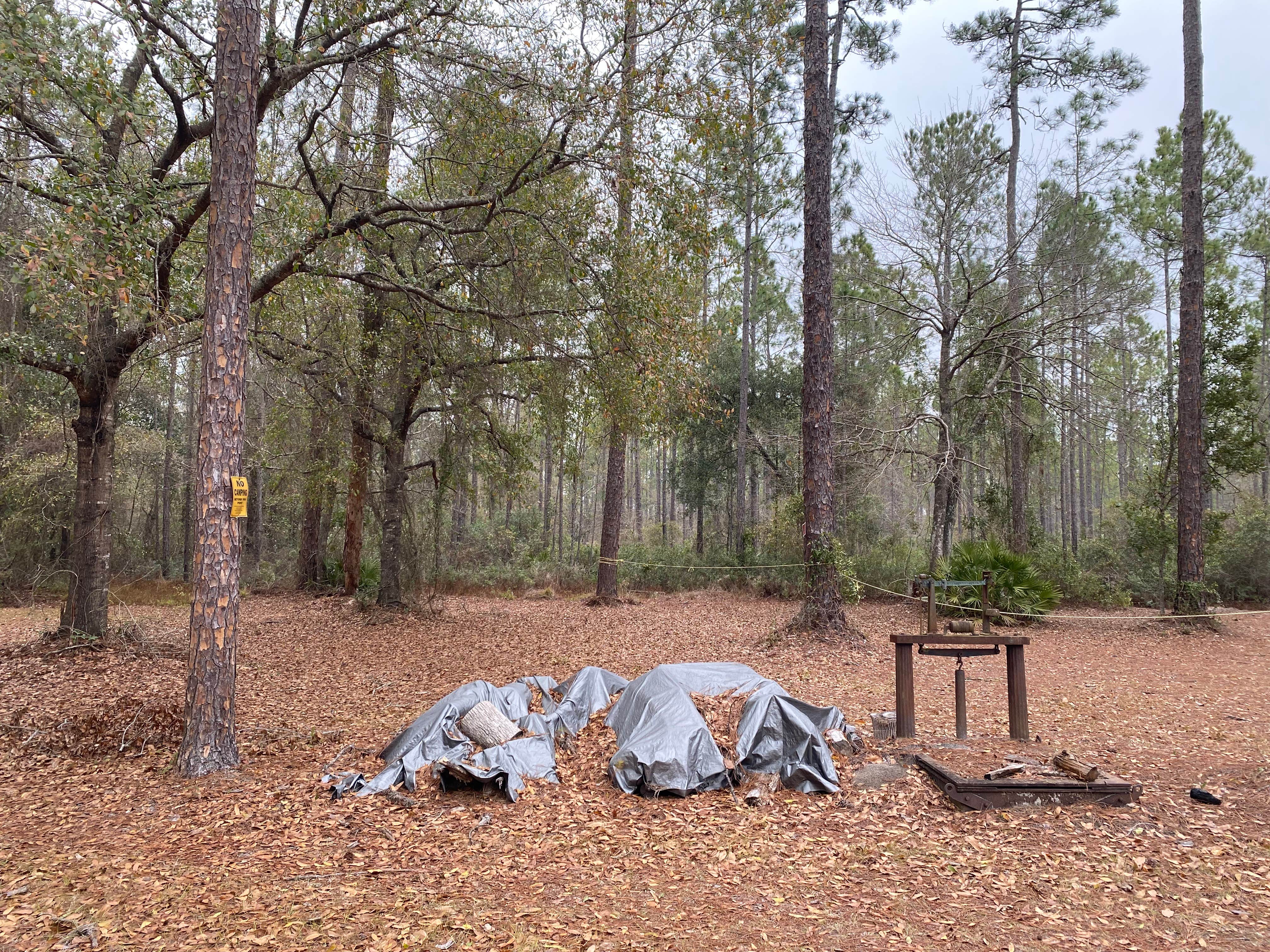 Camper-submitted photo at Dixon Memorial WMA - Hunter Camp near Waycross, GA