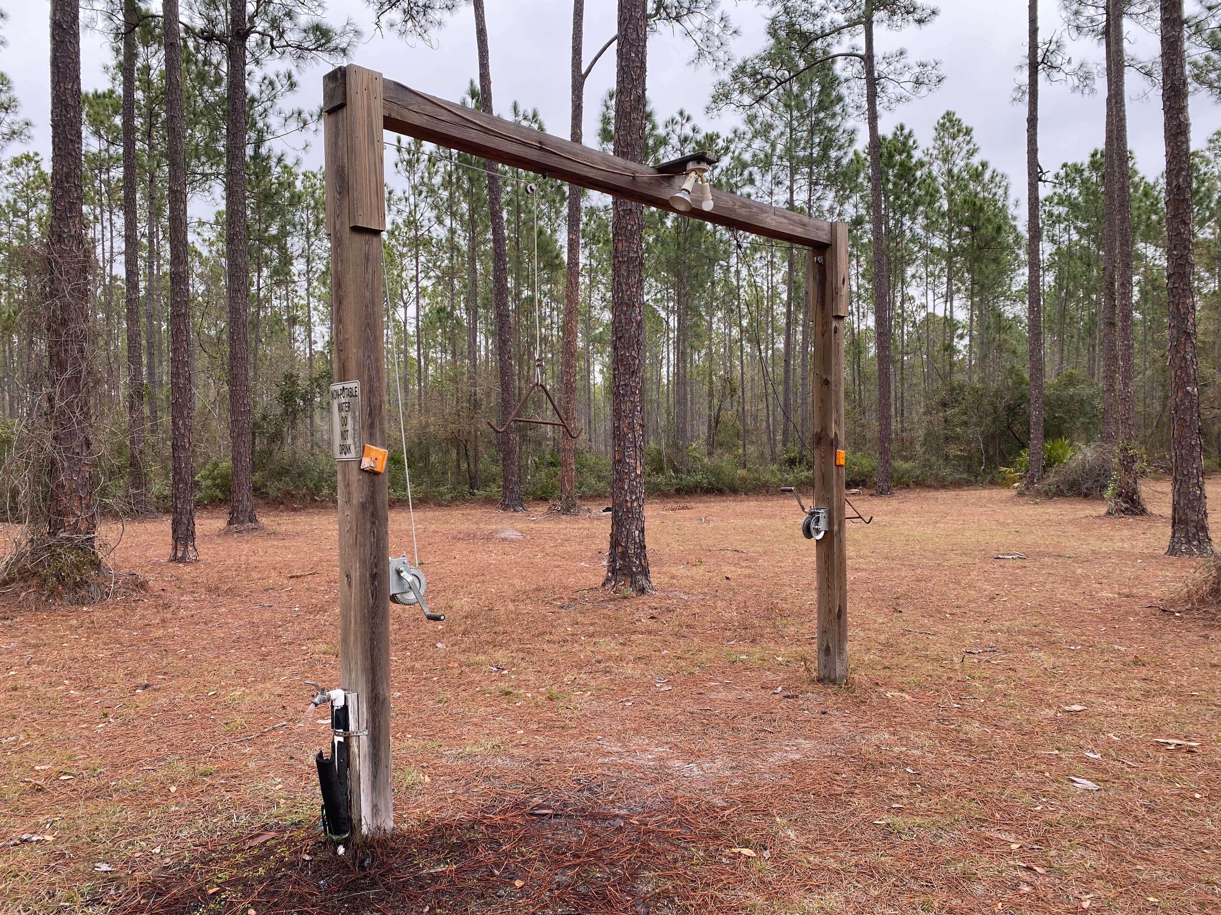 Camper-submitted photo at Dixon Memorial WMA - Hunter Camp near Waycross, GA