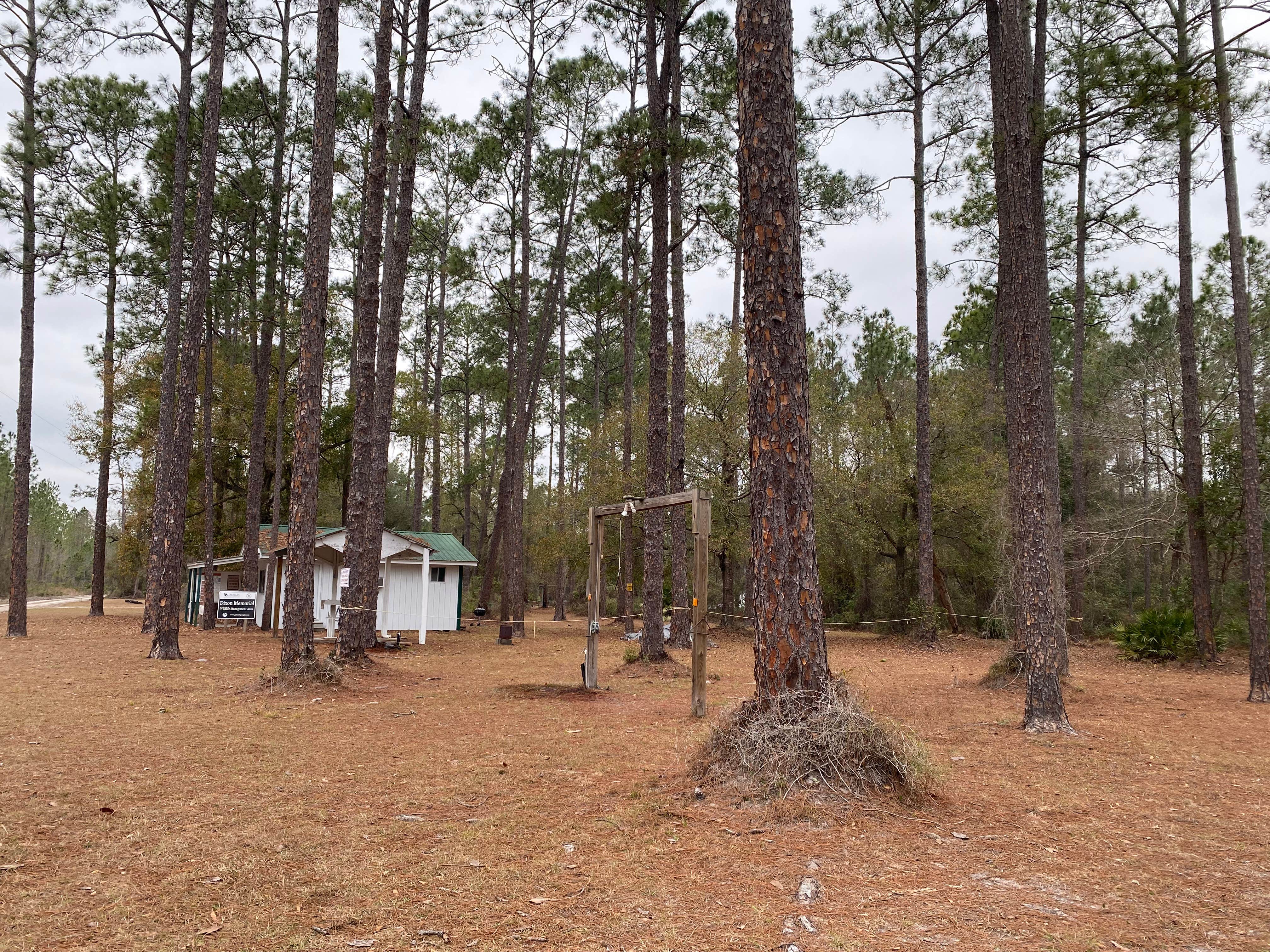 Camper-submitted photo at Dixon Memorial WMA - Hunter Camp near Waycross, GA