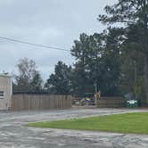 Review photo of South East Georgia RV Park by Maria Mercedes M., March 2, 2026
