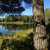 Review photo of Pine Ridge Campground — Itasca State Park by Eric K., September 29, 2016