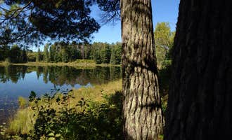 Camping near Bear Paw Campground — Itasca State Park: Pine Ridge Campground — Itasca State Park, Laporte, Minnesota