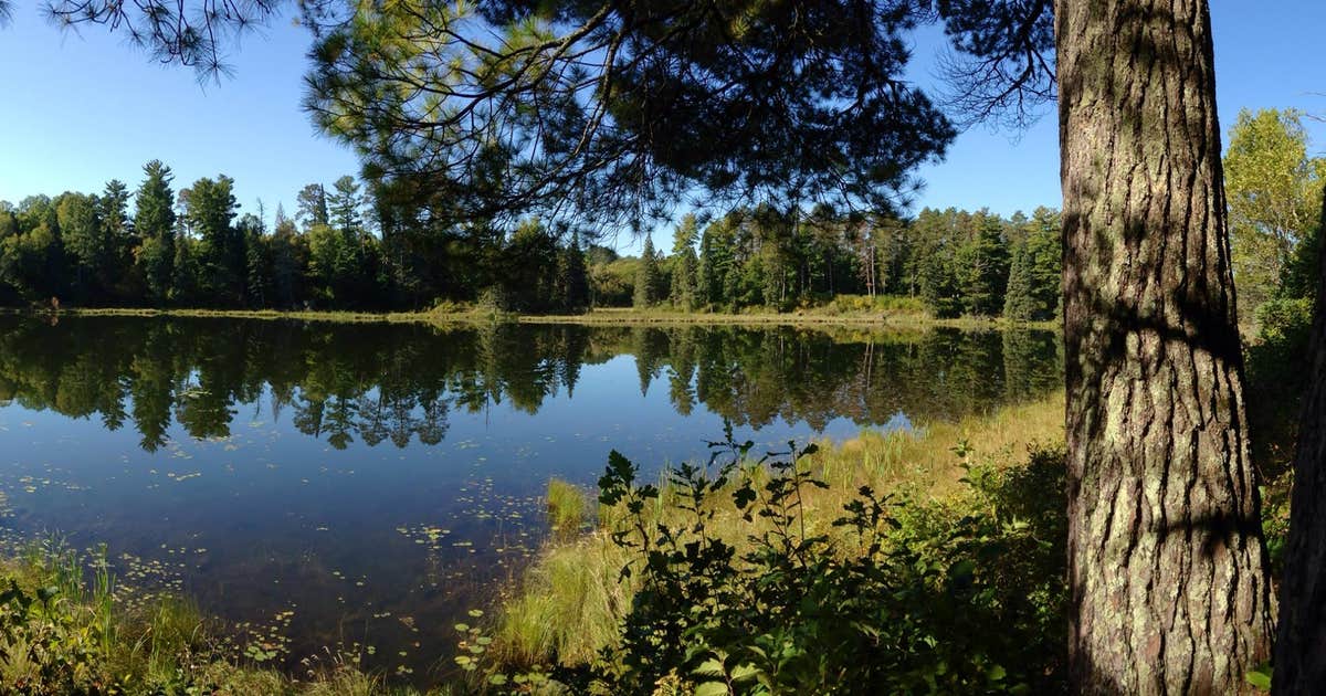 Pine Ridge Campground — Itasca State Park