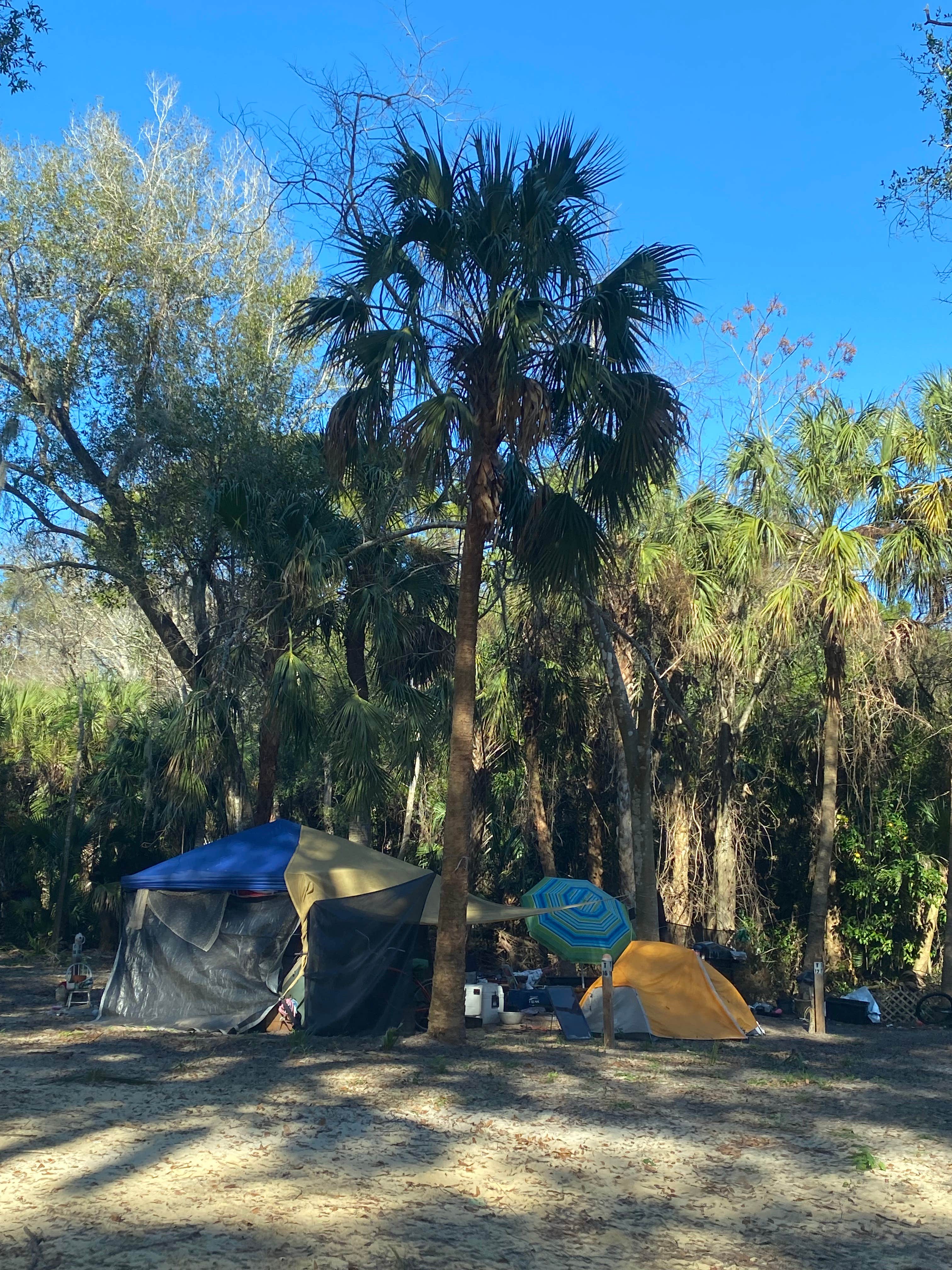Maria Mercedes M.'s photo at Looney Acres near Merritt Island, FL
