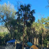 Review photo of Looney Acres by Maria Mercedes M., March 2, 2026